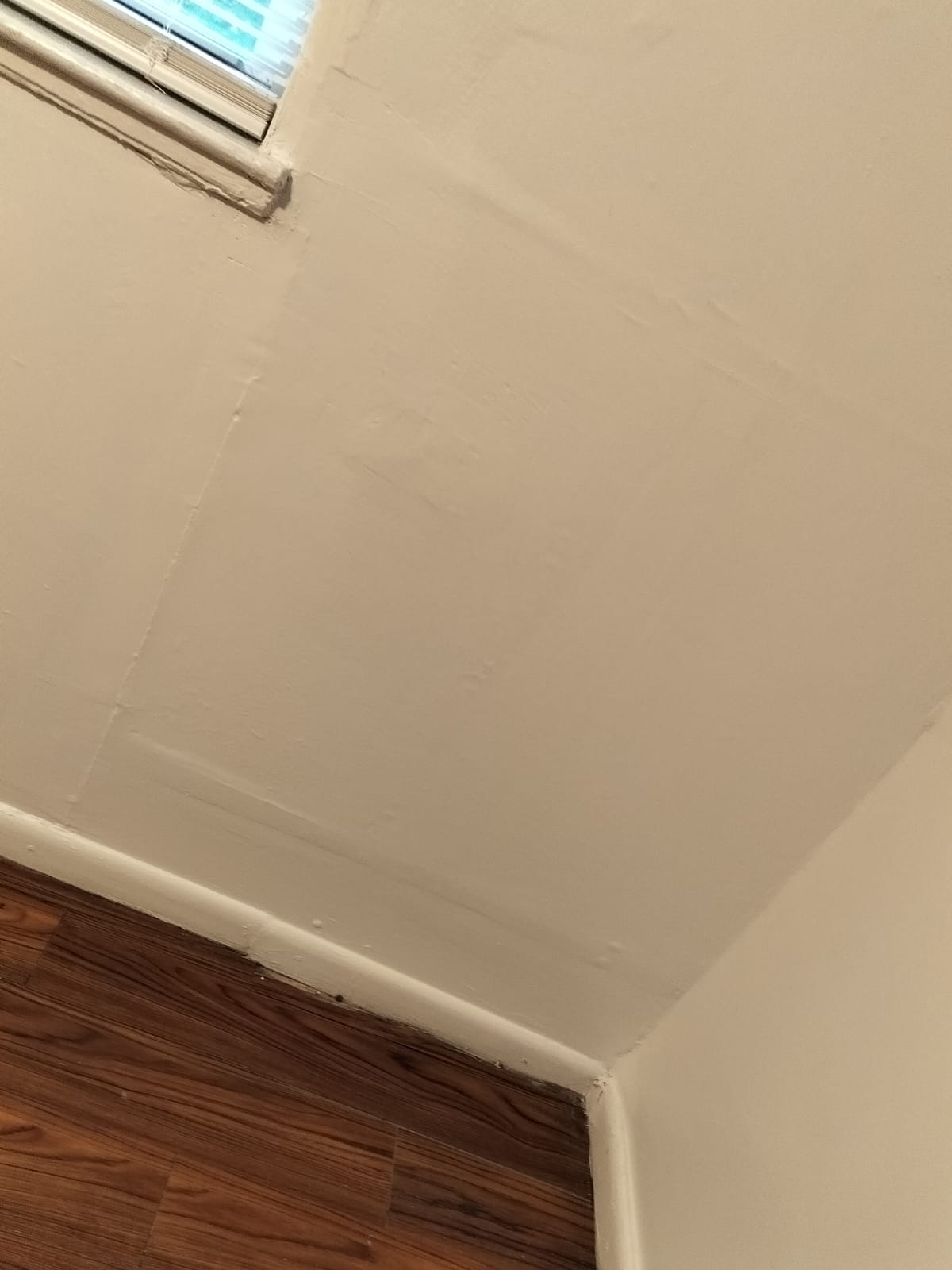 Gallery Photo 0